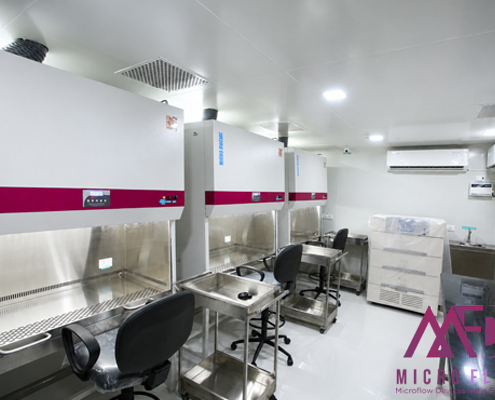 Microflow BSL 2